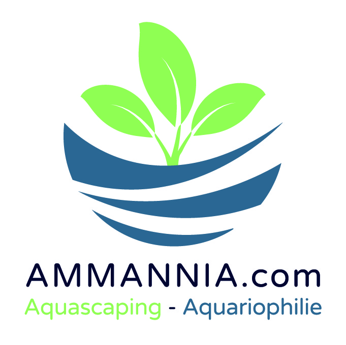AQUA MEDIC antigreen 250 ml anti-algues filamenteuses et visqueuses pour  aquarium d'eau douce jusqu'à 400L - Traitements de l'eau douce/Anti-algues  -  - Aquariophilie