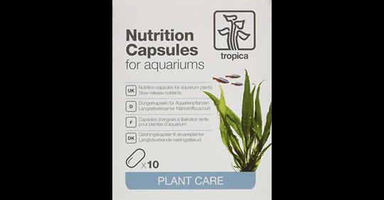 Tropica engrais nutrition capsules plantes d'aquarium - Materiel