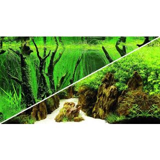 Poster Canyon / Woodland 100x50cm - Hobby