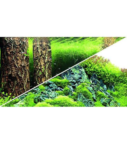 Poster Scapers Hill / Forest 120x50cm - Hobby