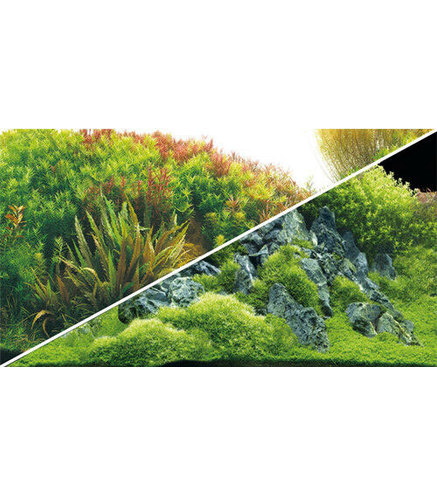 Poster Planted River / Green Rocks 100x50cm - Hobby