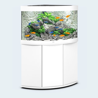Aquarium TRIGON 190 BLANC Juwel + Meuble