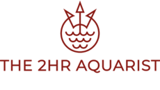 The 2hr aquarist The 2hr aquarist
