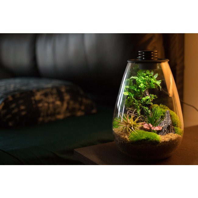 Lampe Aquarium - Petit poisson dans un aquarium - 54 cm de haut