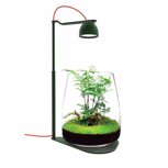 Kit Terrarium-Led-drop Bio-Grow Suit Vert