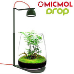 Kit Terrarium-Led-drop Bio-Grow Suit Vert