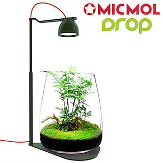 Kit Terrarium-Led-drop Bio-Grow Suit Noir