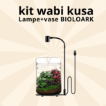 Kit wabi kusa  Luji Glass Cup -MY-120H + Lampe | BIOLOARK