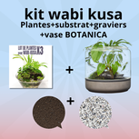 Kit Wabi-Kusa -Botanica Sanctuary Béton+ lot 3 plantes