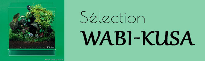 Sélection de produits pour fabriquer un wabikusa