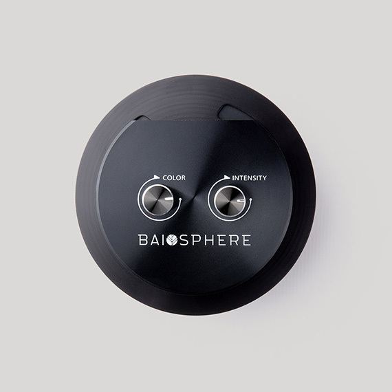 Baiosphère - Lampe Terrarium ou Wabi Kusa La nouvelle idée design pour  votre intérieur !