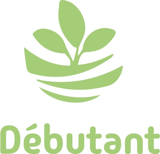 Niveau Débutant